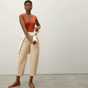 Everlane The V-Neck Ballet Bodysuit